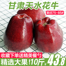 【现摘现发】甘肃天水花牛苹果 新鲜水果红蛇果10斤礼县批发包邮