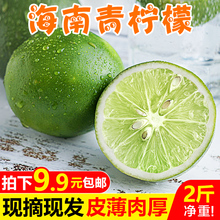 包邮 新鲜当季水果一级香水鲜柠檬皮薄多汁批发 海南青柠檬2斤净重