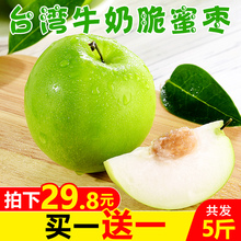 现摘现发 新鲜应季水果枣子大青枣冬枣 台湾牛奶脆蜜枣5斤 包邮
