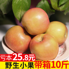 新鲜脆甜冰糖心小苹果水果野生山西山地农家特产当季现摘10斤包邮