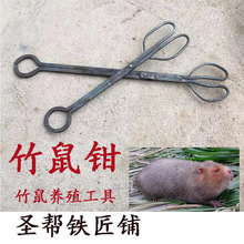 锻打竹鼠夹子芒鼠夹养殖用品畜牧用品竹鼠钳子防咬捕捉工具