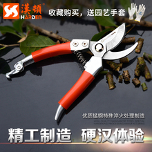汉顿园林园艺剪刀 不锈钢园林工具花剪修剪树枝花果树修枝剪粗枝