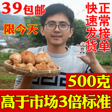 农家自产正宗猴头菇干货非东北仿野生粉新鲜特级养胃粉长白山500g