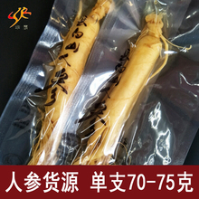 10送3 5送1 长白山鲜人参新鲜保鲜参泡酒煲汤人参毛重75克