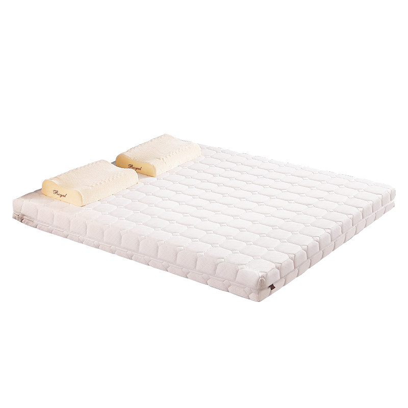 ���˹��̩����Ȼ���齺����520520