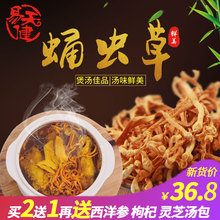 【买2送1】精选无硫虫草花干货金北虫草蛹虫草孢子头送煲汤材料