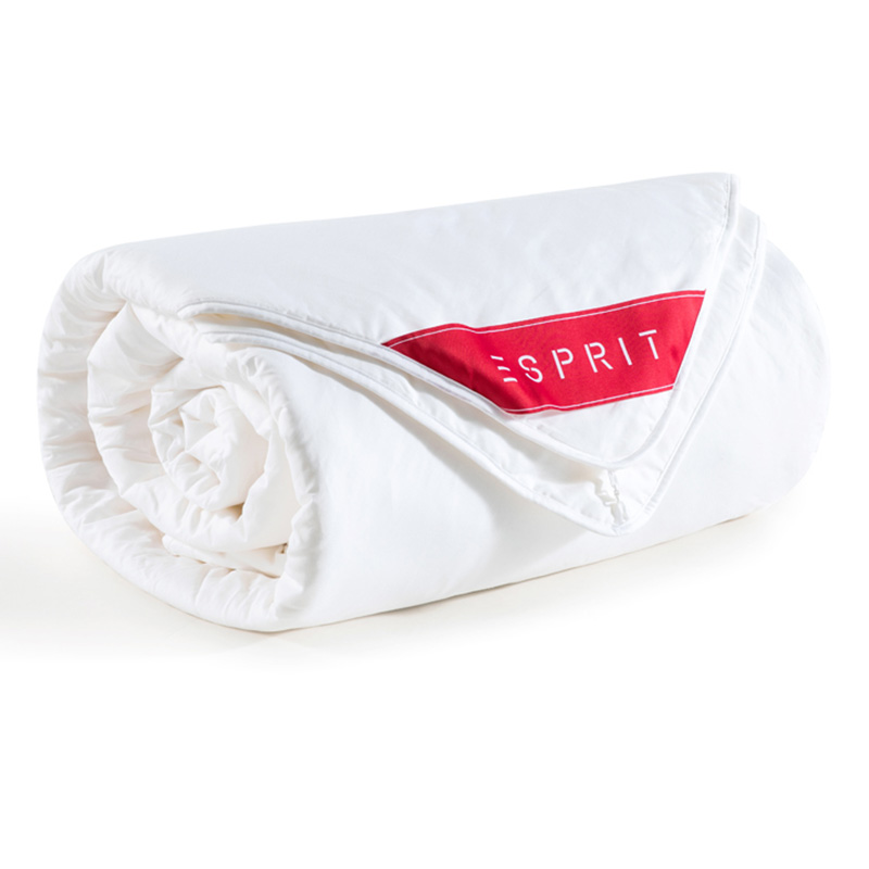 esprit�ļ�˫�˲�˿��