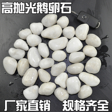 白色高抛光纯天然鹅卵石头雨花石黑色石头鹅暖石鱼缸园林造景卵石