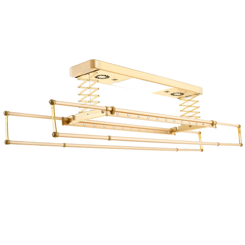 ��ʥ�綯���¼�802���λ���