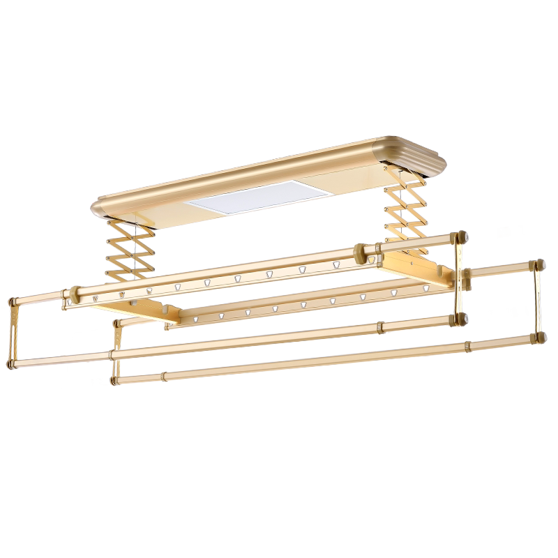 ��ʥ�綯���¼�804������