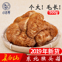 小吉哥东北猴头菇干货500g长白山特产农家深山野生种植大号猴头菇