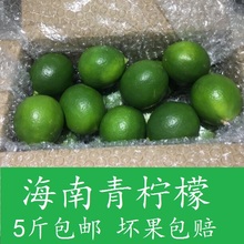 小柠檬香味浓饮品店酒吧用5斤 包邮 免邮 海南青柠檬小青柠檬新鲜