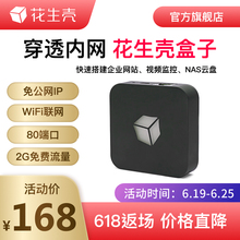WiFi联网Web服务器FTP服务器NAS办公SVN微信frp测试建站DDNS 花生壳盒子花生棒Pro内网穿透ngrok公网IP
