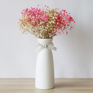 ins北欧满天星干花带花瓶