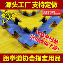 3.0加厚泡沫专用运动训练地垫 专业跆拳道垫子武术散打舞蹈垫2.5