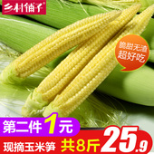 新鲜甜玉米笋 4斤装小玉米芯仔迷你嫩玉米棒农田种植非广西玉米棒