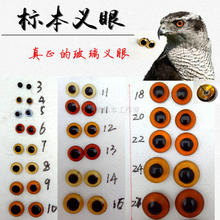 40mm 老鹰野鸡斑鸠标本眼睛3mm 动物仿真玻璃眼睛 鸟类标本义眼