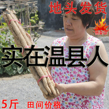 河南焦作温县铁棍山药怀山药淮铁杆棒山药5斤整箱家庭装 包邮 限区