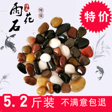 天然雨花石鹅卵石鱼缸造景原石小白石子五彩石鹅软石卵石彩色石头