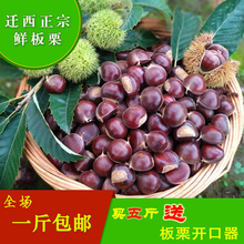 包邮 栗子生新鲜带壳生栗子 板栗 5斤 2018迁西板栗生新鲜3斤
