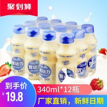 包邮 12瓶 胃动力乳酸菌饮品益生菌早餐牛奶酸奶儿童饮料340ml整箱