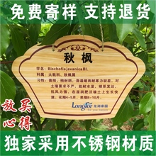 树牌定制悬吊挂牌防水植物树木花卉名称介绍牌园林简介花草提示牌