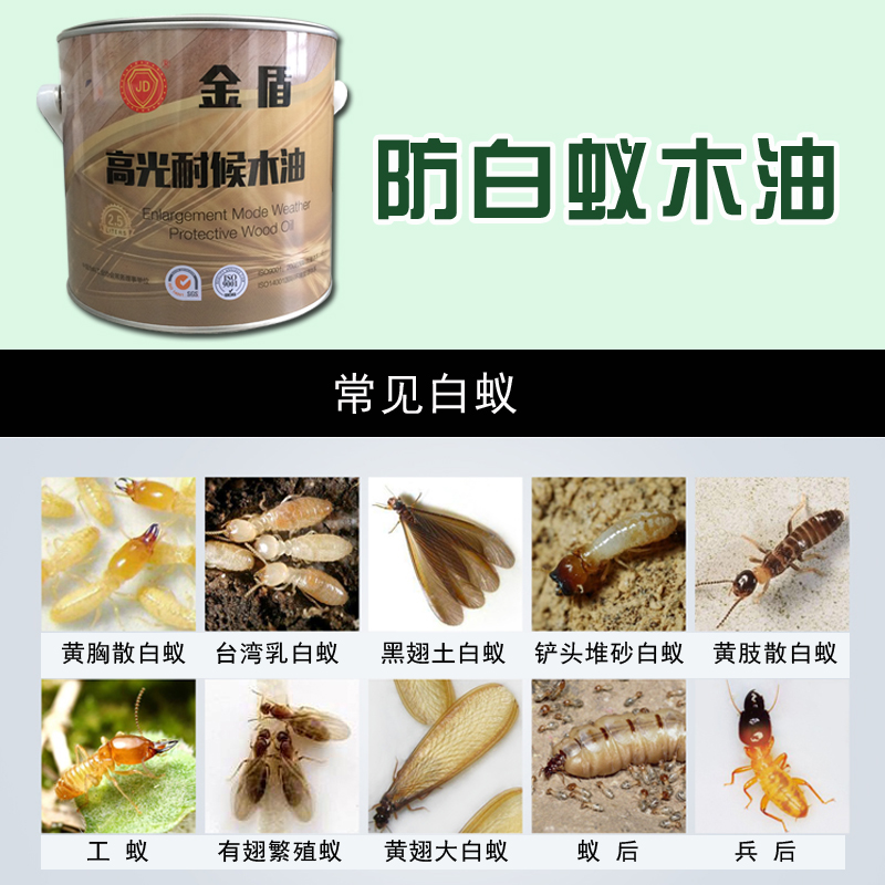 ��ܷ�����ľ��FC001