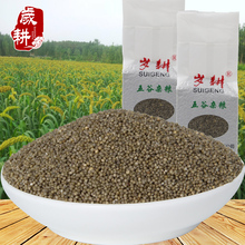 岁耕新品黑小米农家优米五谷粗粮黑色小米粮油杂粮米面500g