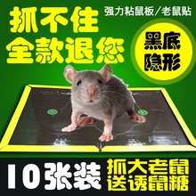 板大号粘板贴板粘胶邮纸黏片蝇老鼠超强力胶蟑螂粘鼠捕鼠贴苍a