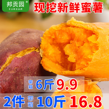 现挖现发新鲜红薯沙地蜜薯红薯农家自种烤红薯山芋番薯地瓜5斤