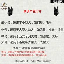 专用德牧立耳器狼青宠物杜宾柯基胶水矫正耳朵边牧刷子起来胶带