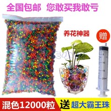 吸水珠大球荧光无毒水珠水晶水精灵七彩海绵宝宝泡泡水养夜光