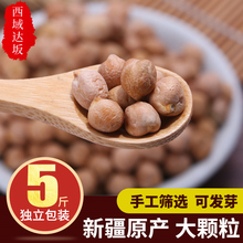5袋生新疆特产生鹰嘴豆5斤新豆实惠装 鹰嘴豆500g 打豆浆粉超特级