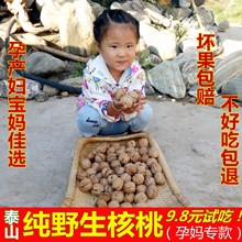 18年新核桃干品山东薄皮干核桃老树山笨核桃孕妇核桃原味5斤包邮