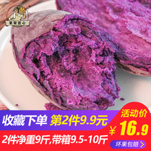 沂蒙山农家自种紫薯新鲜现挖番薯十香10地瓜红薯蜜薯山芋 5斤包邮