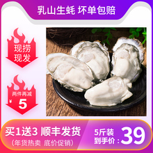 乳山生蚝大牡蛎鲜活生吃5斤 新鲜海产品10斤即食海鲜水产品海蛎子