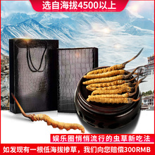 1g4条 包邮 礼品礼盒装 冬虫夏草4根 3g起拍 西藏那曲正品