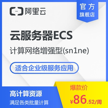 【自营】阿里云云服务器计算增强型sn1ne各类企业服务应用场景适