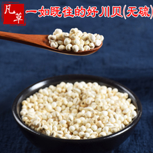 正宗无硫川贝50克贝母野生正品 中药材川贝粉咳嗽枇杷柠檬膏