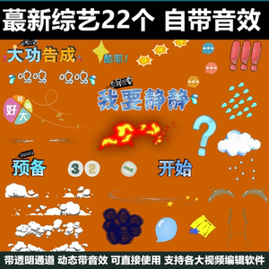 综艺节目特效字幕pr品牌店铺