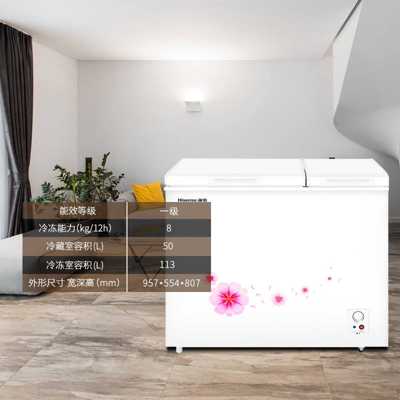 ����˫����ر���BCD-163N/B