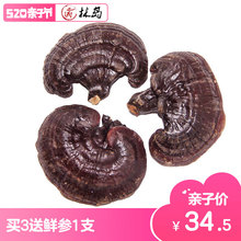 林岛 长白山灵芝半野生灵芝 34.6元/斤包邮买3送鲜参免费切片打粉