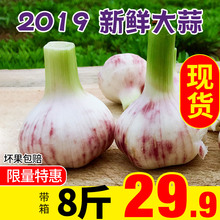 包邮 带箱8斤鲜蒜湿蒜晒干紫白皮新蒜 2019新鲜大蒜头 批发非10山东