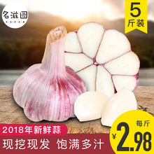 包邮 子湿蒜瓣批发糖醋5斤非干蒜 2018年新鲜现挖紫皮嫩大蒜头低价
