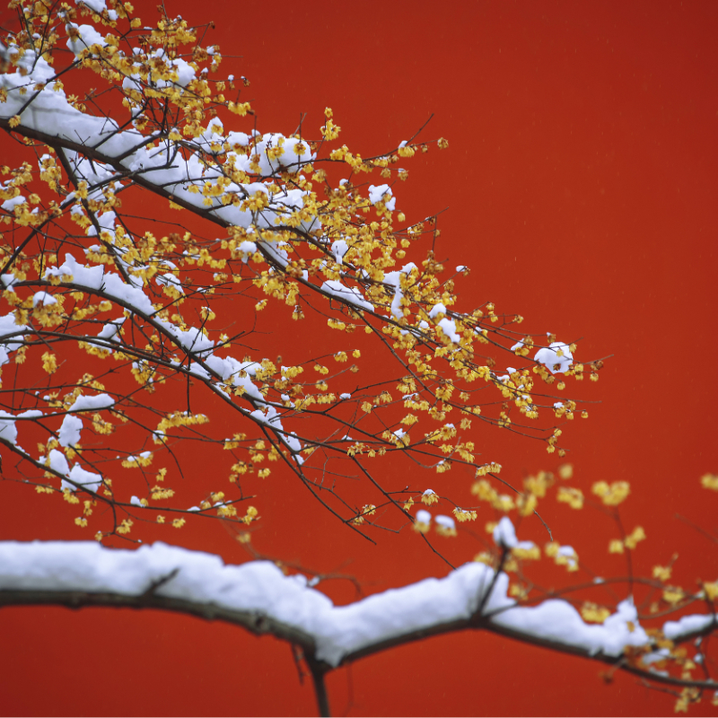 【享积分房晚】万豪北方17城38店3晚 可拆分多档通兑 含双人早餐