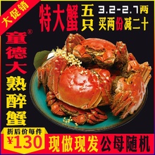 包邮 特大蟹5只装 花雕熟醉蟹童德大秘制上海宁波无锡红膏熟醉蟹