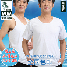 汗衫 纯棉老头衫 中老年宽松内衣大码 白色圆领短袖 菊花牌背心男士