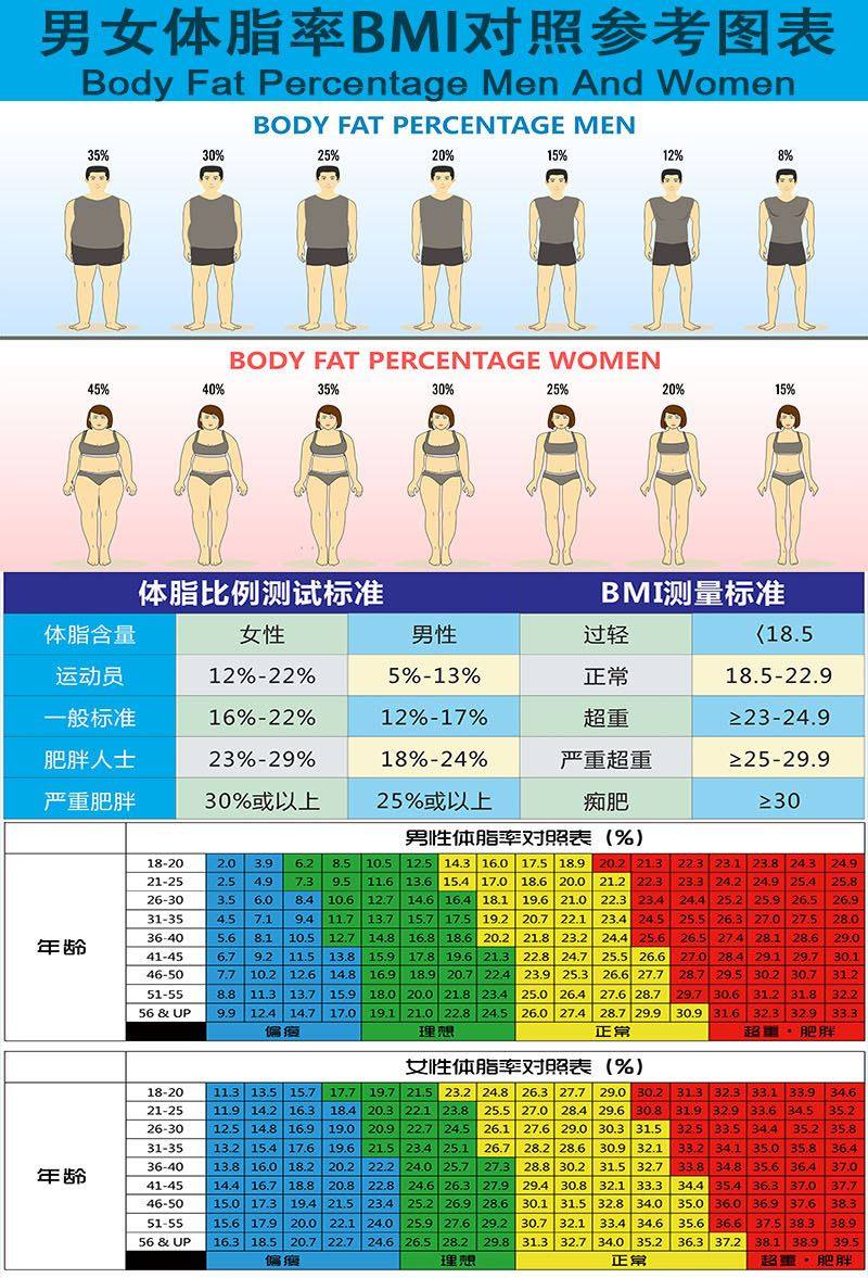 男女体脂率对照表壁纸身体脂肪百分比例参考图背景墙bmi指标墙纸 汇影图片