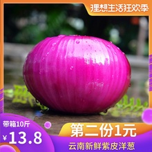 紫皮洋葱葱头洋葱红皮洋葱5斤装 时令新鲜蔬菜 云南小洋葱新鲜蔬菜