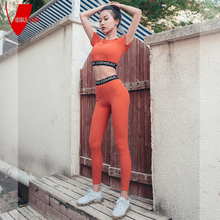 夏季运动速干衣女短袖 健身服女 套装 女2019新款 维可VIK瑜伽服套装